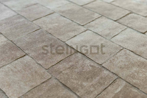 ���������� ������ Steingot ������ ����� 60 ����� ���� ��������� ��������� �������